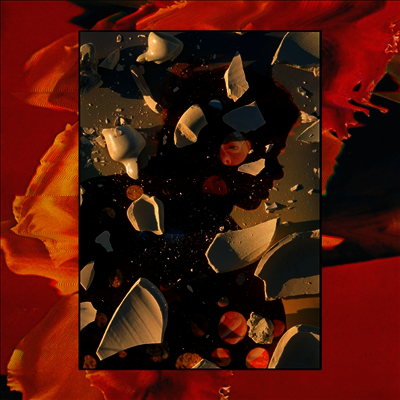 Hand Habits — Sugar The Bruise (EP) 앨범 커버