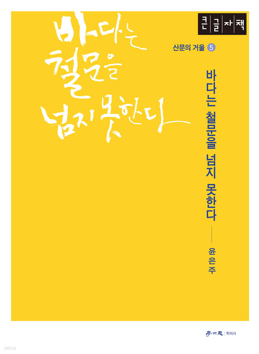 바다는 철문을 넘지 못한다 (큰글자책)