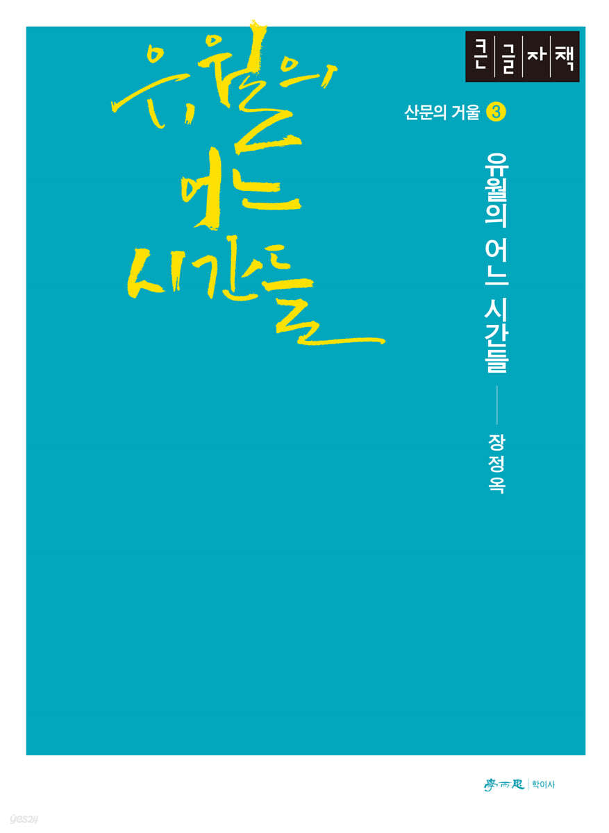 유월의 어느 시간들 (큰글자책)