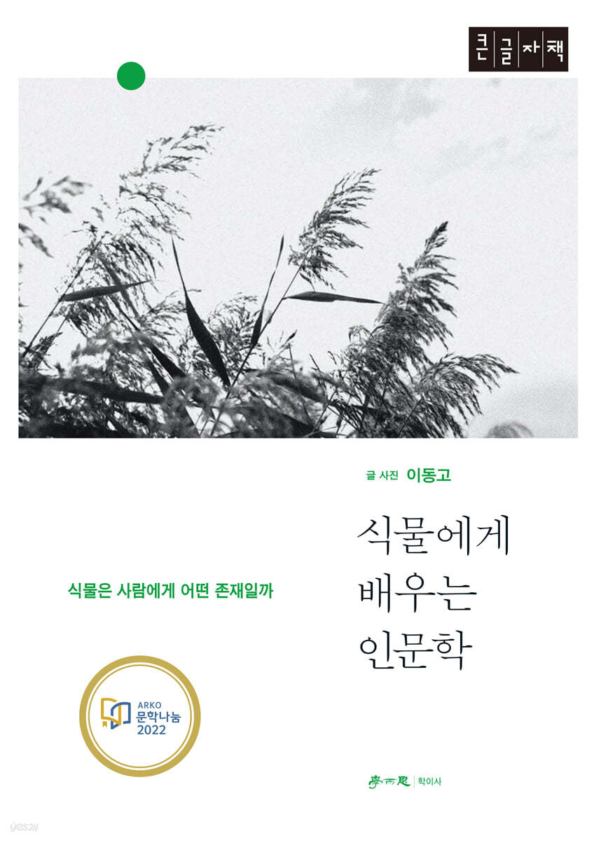 식물에게 배우는 인문학 (큰글자책)