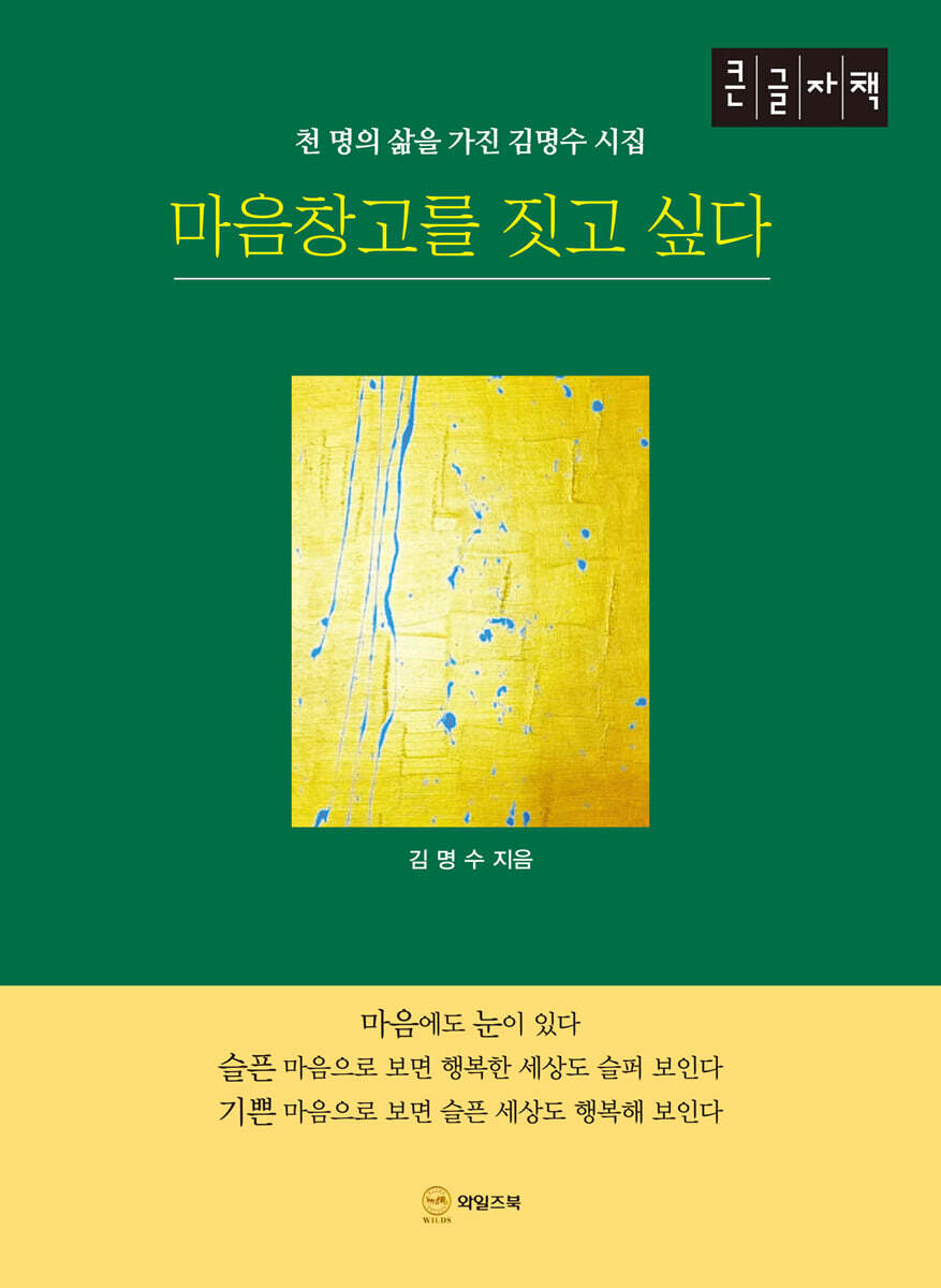와일즈북 마음창고를 짓고 싶다 (큰글자책)