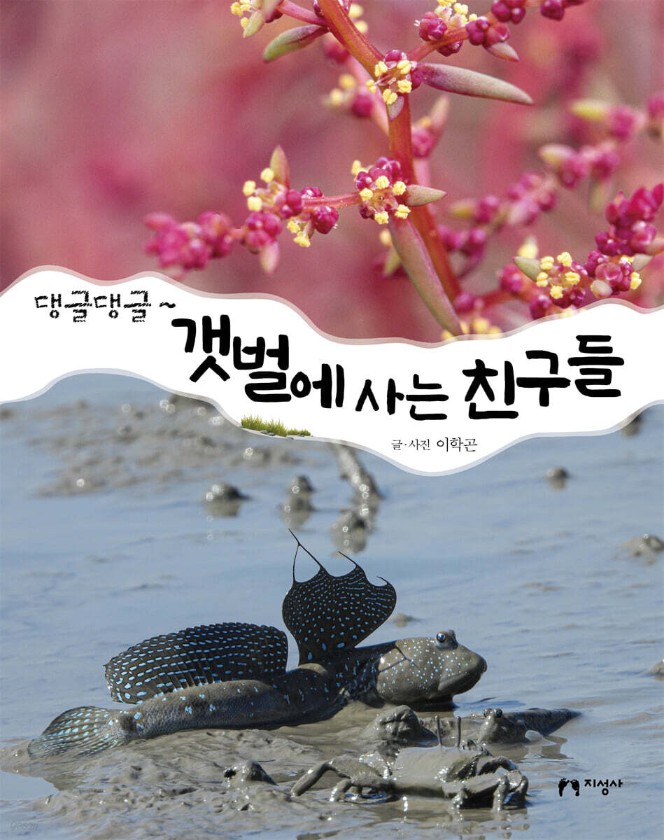 댕글댕글~ 갯벌에 사는 친구들