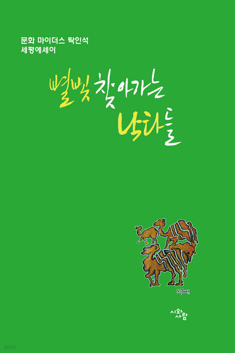 별빛 찾아가는 낙타들
