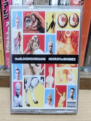 (̰ īƮ) Bloodhound Gang ( Ͽ ) - Hooray For Boobies
