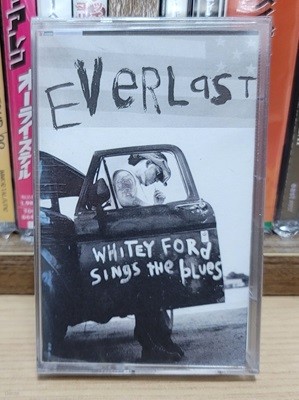 (미개봉 카세트테이프) Everlast (에버라스트) - Whitey Ford Sings The Blues