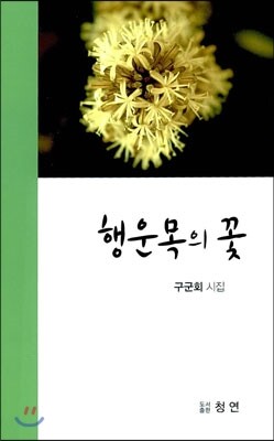 청연  행운목의 꽃
