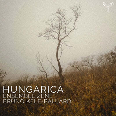 Bruno Kele-Baujard ˰ī - ڴ / ũ / Ƽ (Hungarica)