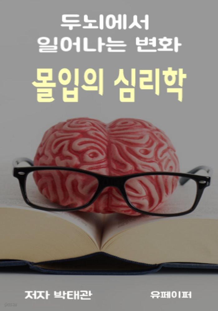 몰입의 심리학