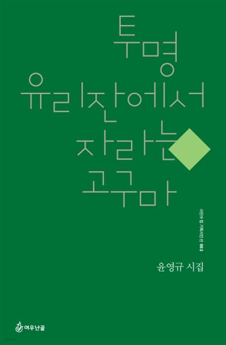투명 유리잔에서 자라는 고구마