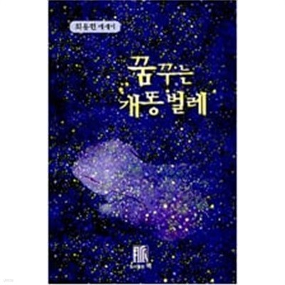 꿈꾸는 개똥벌레 - 최용현 에세이 