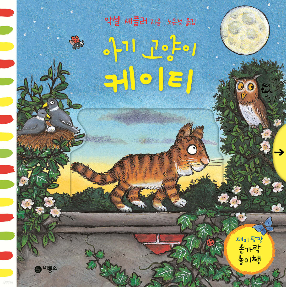 아기 고양이 케이티