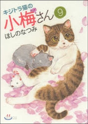 キジトラ猫の小梅さん   9