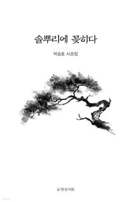 솔뿌리에 꽂히다