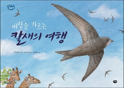 바람을 가르는 칼새의 여행