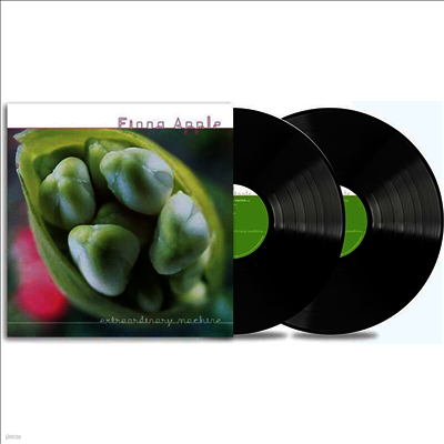 Fiona Apple — Extraordinary Machine 앨범 커버