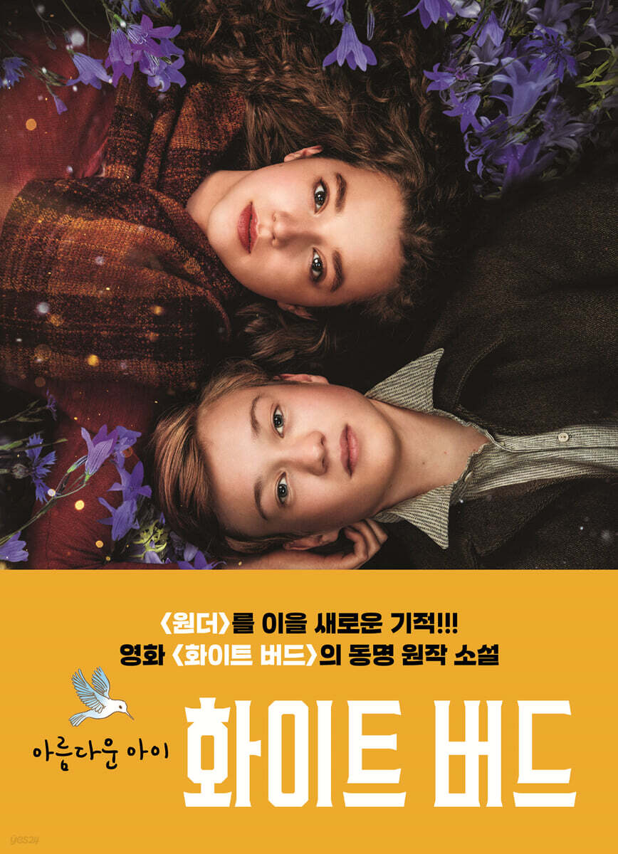 아름다운 아이 화이트 버드