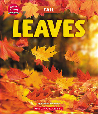 Leaves (Learn About: Fall)