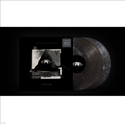 Alice In Chains — Rainier Fog (5th Anniversary Edition) 앨범 커버