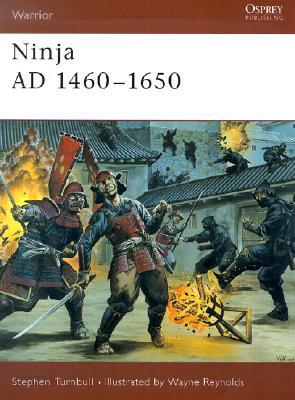 Ninja Ad 1460-1650