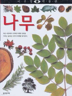 나무 (비주얼 박물관, 19) (ISBN : 9788901046310)