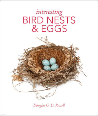 The Interesting Bird Nests and Eggs