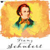 Ʈ Ʈ  (The Best of Schubert) [LP]