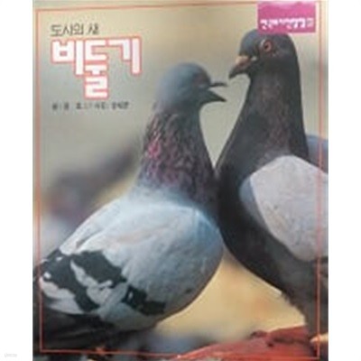 도시의 새 비둘기(한국의 자연탐험 61)