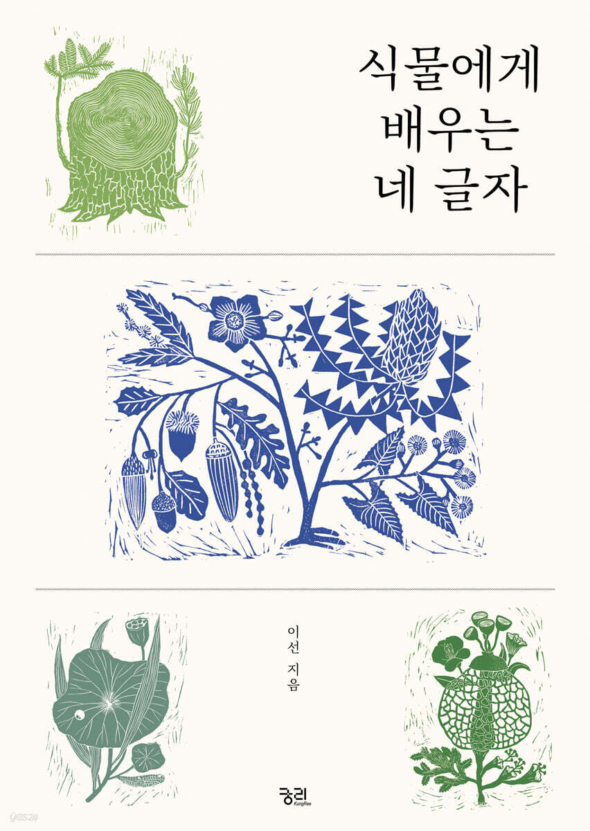 식물에게 배우는 네 글자 (큰글자도서)