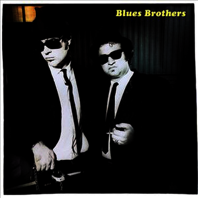 Blues Brothers - Briefcase Full Of Blues (Ltd. Ed)(180G)(LP)
