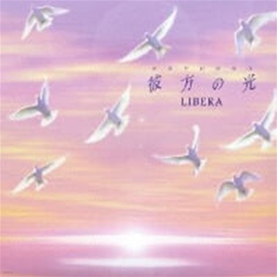 Libera / Far Away (일본수입/TOCP67886)