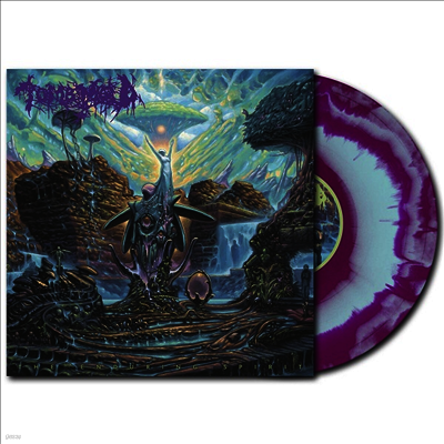 Tomb Mold — Enduring Spirit 앨범 커버