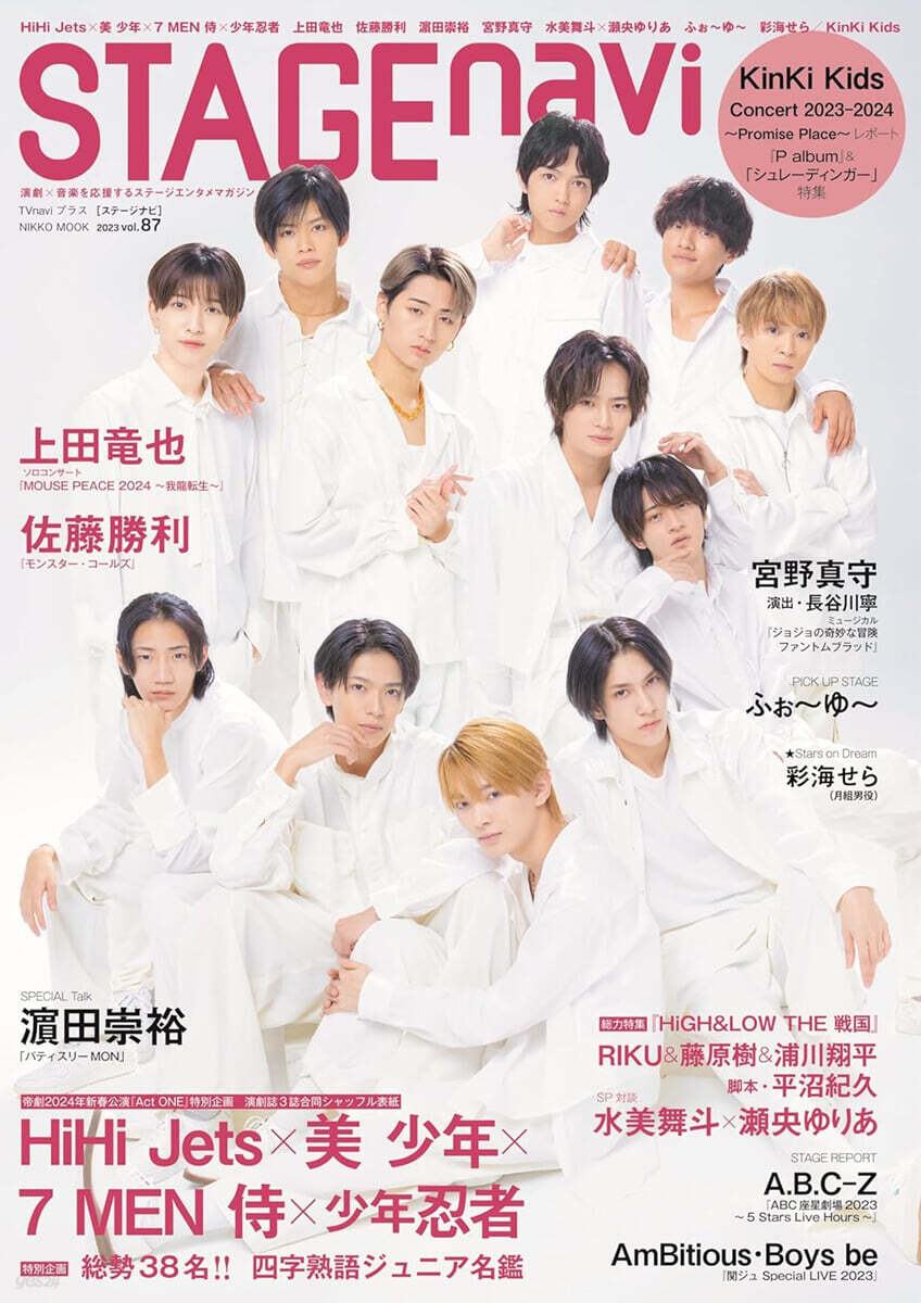 STAGE navi 87