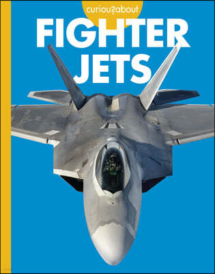 Curious about Fighter Jets
