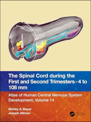 The Spinal Cord during the First and Early Second Trimesters 4- to 108-mm Crown-Rump Lengths