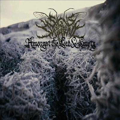 Signs Of The Swarm - Amongst The Low & Empty (Gatefold)(LP)