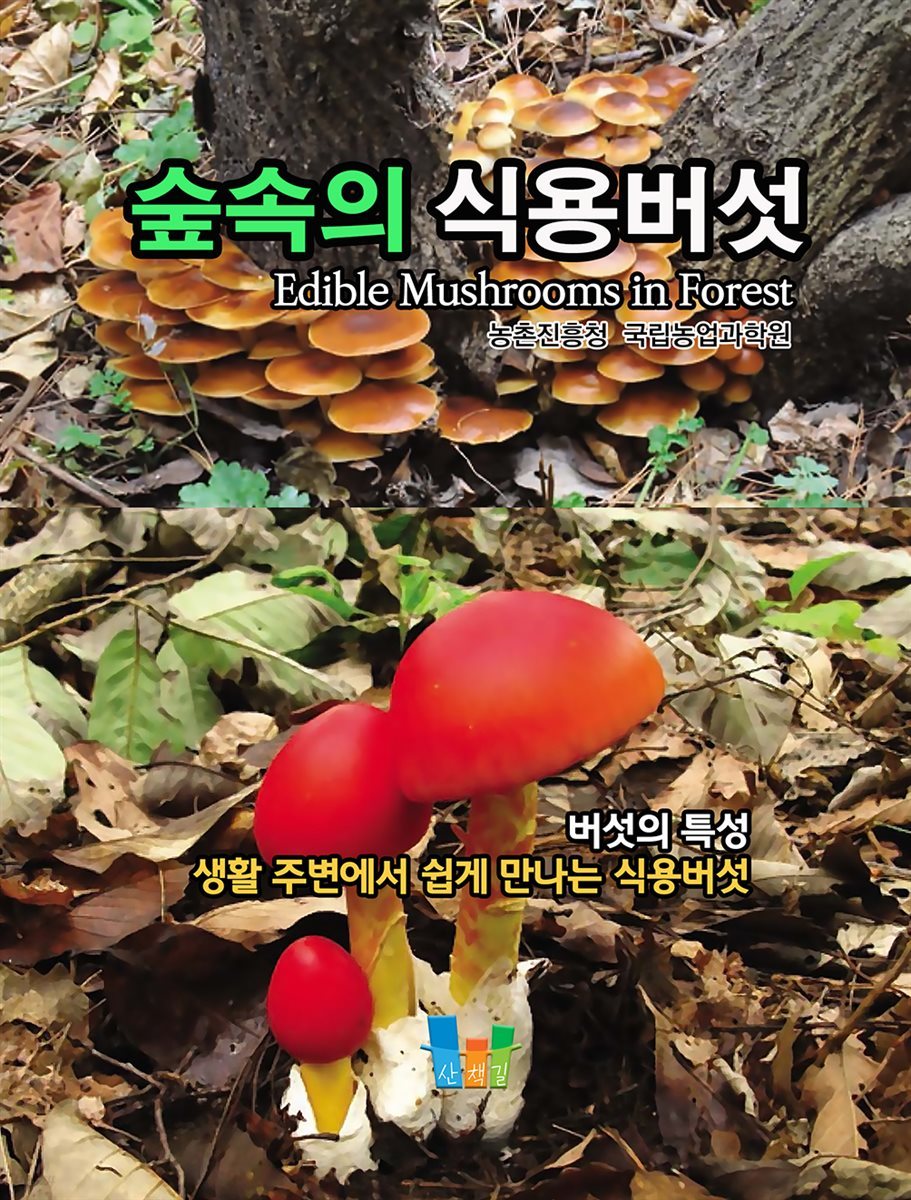 숲속의 식용버섯