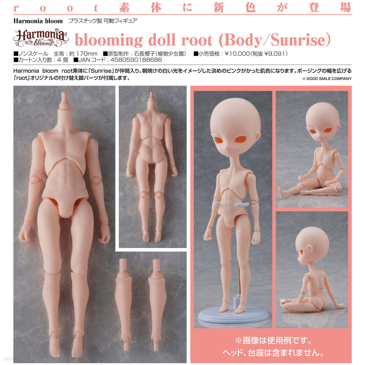 (예약도서) Harmonia bloom blooming doll root (Body/Sunrise)