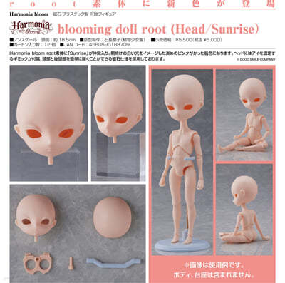 (൵) Harmonia bloom blooming doll root (Head/Sunrise)