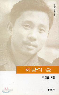 회상의 숲