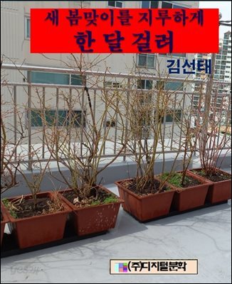 봄맞이를 지루하게 한 달 걸려
