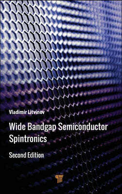 Wide Bandgap Semiconductor Spintronics