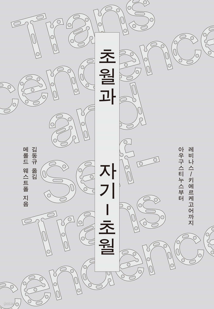 초월과 자기-초월