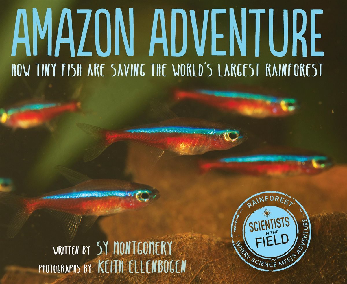 Amazon Adventure