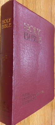 Holy Bible - New International Version 영문판