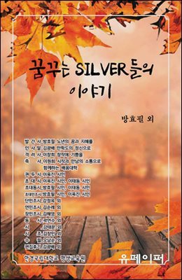 ޲ٴ SILVER ̾߱