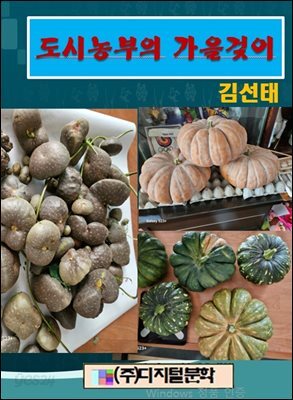 도시농부의 가을겆이