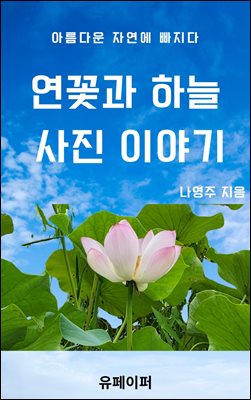 연꽃과 하늘 사진 이야기