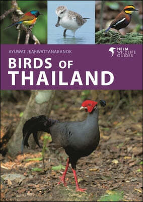 Birds of Thailand