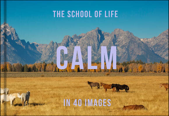Calm in 40 Images: The Art of Finding Serenity