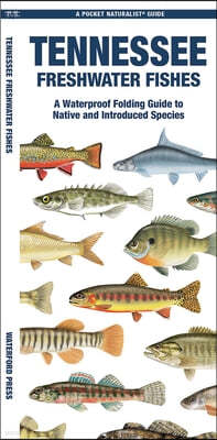 Tennessee Freshwater Fishes: A Folding Guide to Native and Introduced Species